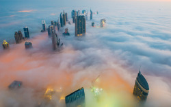 gasoline-station:  Foggy Dubai Picture: This breathtaking view from the Burj Khalifa, the world’s tallest building, shows a thick blanket of smoggy fog smothering Dubai. The mist almost completely covers the skyscrapers which dominate the skyline. ©