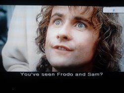 pippinofthe-fellowship:  night-owl101:  So my dad and I are watching LOTR: the return of the kings and dad told me to pause it so he could check on dinner and this happened. I couldn’t stop laughing.   youve seen frodo and sam  tell me  or else  I