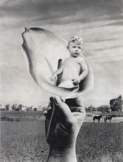Grete Stern, 1948