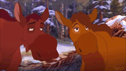 Really cute moosen from Brother Bear 2A severely underrated species of hooffriend ;_;