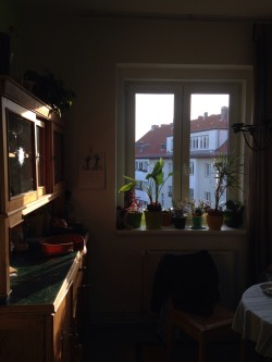 ost-kreuz:  this kind of summer evenings ☀️   | IG: berlias