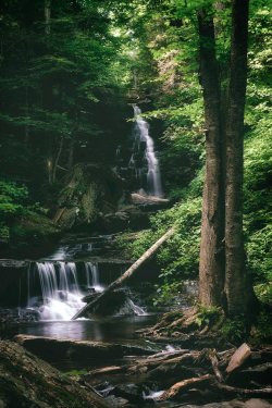 expressions-of-nature:  Ozone Falls by: Colin