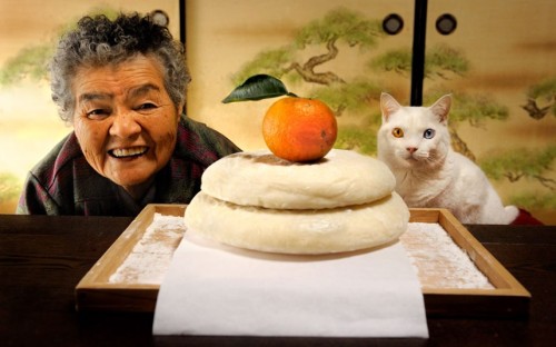 vsuc:  thecatdogblog:  Nine years ago, Japanese photographer Miyoko Ihara began snapping pictures of the relationship between her grandmother and her odd-eyed white cat. Miyoko’s grandma Misao found the abandoned cat in a shed on her land and the pair