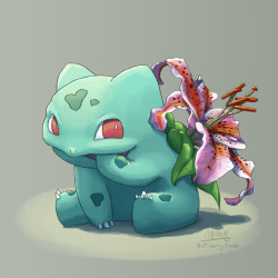 butt-berry:  Anybody got any tips to stop stargazer lily Bulbasaur from chewing its paw?