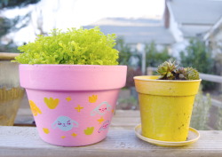 osoflower:  hehe painted some pups on a pot  