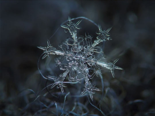 pod7:  iraffiruse:  Homemade camera rig takes stunning close-up pictures of snowflakes  @velannas 