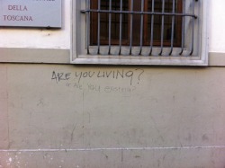 dustyspookfield:  somebody being deep and philosophical in florence 