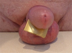 My Ringed Padlocked Cock