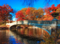  Central Park bursts with bright &amp; brilliant color as fall foliage season peaks.   				Inga&rsquo;s Angle 				One shutterbug&rsquo;s take on the Big Apple 