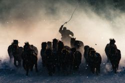 coolthingoftheday:  TOP TEN WINNERS OF THE NATIONAL GEOGRAPHIC TRAVEL PHOTOGRAPHY CONTEST1. Winter Horsemen by Anthony Lau2. Wherever You Go, I Will Follow You by Hiroki Inoue3. Ben Youssef by Takashi Nakagawa4. Double Trapping by Massimiliano Bencivenni