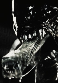 geoffrox:  Alien (1979)