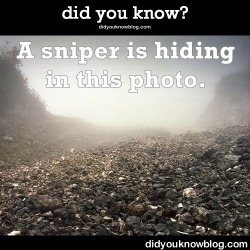 did-you-kno:  Snipers Are Hiding In All Of These Photos, But It’s Nearly Impossible To Spot Them (Even With Help)Expert snipers are trained to conceal themselves in unexpected places called “hide sites,” where they can shoot targets and conduct