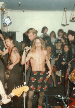 chilipeppers:  Photo provided by James Slovak 
