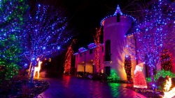 Beautiful Christmas Lights