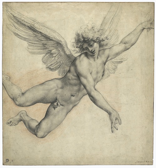 hadrian6:  An Angel in Flight. 1610. Giuseppe Cesari / il Cavaliere D’Arpino. Italian 1568-1640. black and red chalk on paper. Christie’s Oct. 2021.                   http://hadrian6.tumblr.com