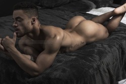 beauxbanks:  “In bed with Beaux” by Kevin Hoover