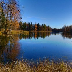 #Now #Nature #Nofilter #Walk #Photowalk #Photorussia #Gatchina #Park #Landscape #Lake