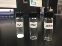 mishkablackpaw:  sixpenceee:  Lethal doses for each of these drugs.  Carfentanyl is so dangerous that if it touches your skin you will absorb it, and depending on the dose you will instantly overdose.First responders are in extreme danger when they go