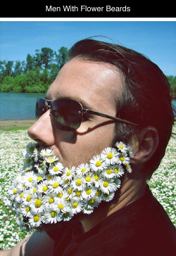stopatthebass:  roachpatrol:  dispatchrabbi:  dreaminpng:  tastefullyoffensive:  Men With Flower Beards [boredpanda]Previously: Guys With Fancy Female Hairstyles  can flower beards be the next flower crowns?  I kinda want to do this.  i love how serious