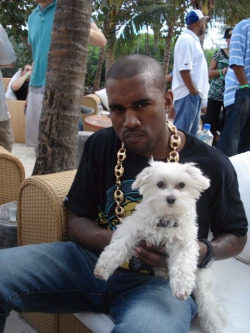 Youngpreciosa:  Rocknrollercoaster:  Rappers With Puppies.  The Only Post That Matters
