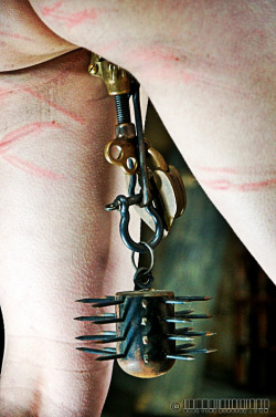 slavegirldiana:  bridle-and-bit:  Pear of Anguish   With the lock, that thing is not coming out any time soon. she will just have to learn to wall gracefully if she wants to avoid those spikes.