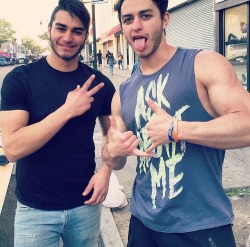 arabfitnessgods:  Handsome Greek-Egyptian brothers Marwan and Amir bulging in all the right places.   💯% Arab Muscle Gods 💯% Arab Prime Beef