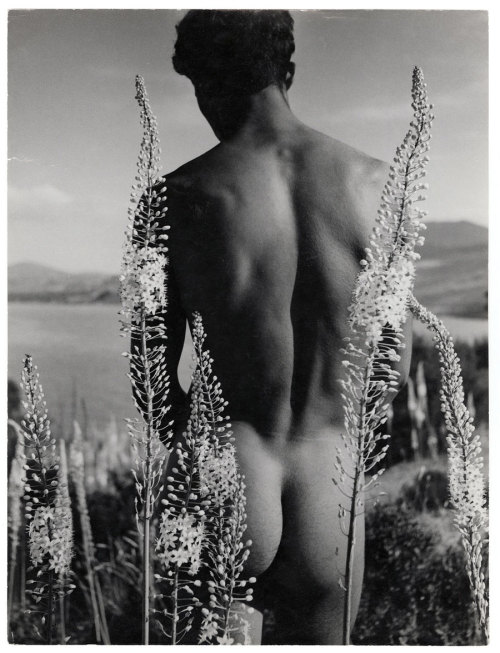 malephoto:  “Young Arab with foxtail lilies”  (Hammamet, Tunisia 1935) | ph. Herbert List
