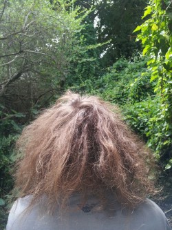 woodmeat:  animetittys:  mayanushka:  jugo-de-mango:assdownloader: christel-thoughts:  thebloominuniverse:  This is the back of james’ head. He hasn’t washed or brushed his hair in months, and all of it was pretty much dreaded. We just picked all