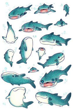 eshkanscab:  these are my whale sharks that