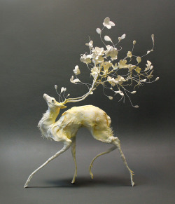 mymodernmet:Ellen Jewett’s Gorgeously Surreal Sculptures Fuse Animals with Nature