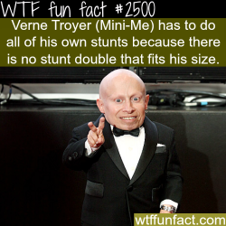 wtf-fun-factss:  Verne Troyer (Mini-Me) stunt double - WTF fun facts