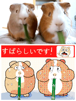 k-eke:    草を食べる  すばらしいです !!!  