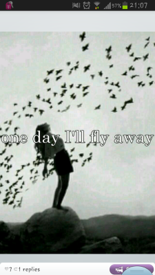 Will you fly away with me?