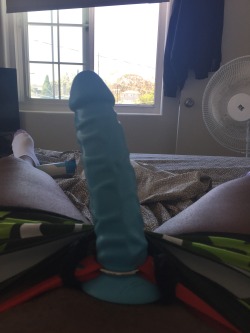 lespolychicoup:  Blue wants to play so bad!