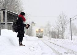 im-the-princess-now:jotaillustrator:thecosmosowl:  nihongogogo:  ‘For years, there’s only been one passenger waiting at the  Kami-Shirataki train station in the northernmost island of Hokkaido,  Japan: A high-school girl, on her way to class. The