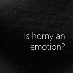 demons&ndash;angel:  fucknshit-up-69:  eros-addict:  …Because I am INTENSELY &amp; WILDLY emotional righr now.   Well???  thats a good question ….