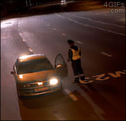 4gifs:  Wolves charge traffic cop in Russia
