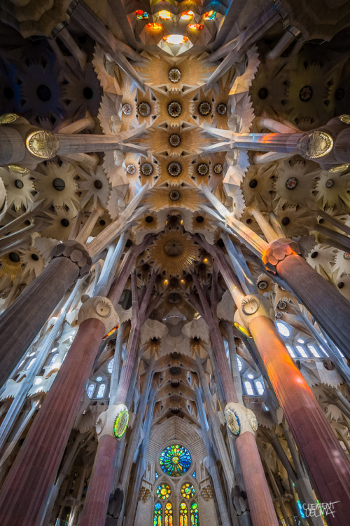 Porn modernizing:  Sagrada Familia Perspectives photos