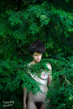 raydelmar:  meanwhile back in the jungle… ( Kelsey Dylan ) 