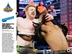 amyaloha78:  And a great shot of Sheamus and Rollins from the app!