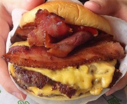 sirpsychohermes:wolfe-recoil-:yummyfoooooood:  Bacon Double Cheeseburger  All the things I can’t have XP  I recognize the wrapper….I want shake shack now lmfaooo