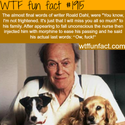wtf-fun-factss:  The last words of Roald Dahl - WTF fun facts