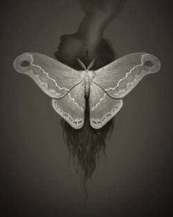 victoriousvocabulary:  ĆMA [noun] 1. Polish: moth; a chiefly nocturnal insect related to the butterflies. 2. Archaic: darkness. Etymology: from Proto-Slavic *tьma. [Miranda Meeks]