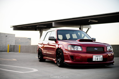 XXX thejeffwing:  cette-annee:  Michael’s Forester photo