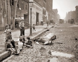 Playing children near dead horse, New York, ca 1900. Photographer unknown