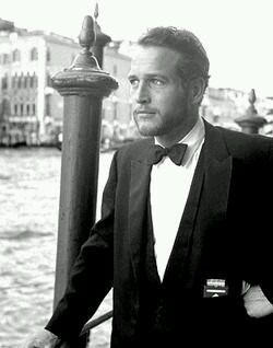 tallulahdreaming:  Paul Newman in Venice 1963