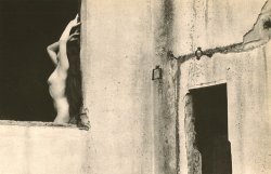 oldalbum:  Yasuhiro Ishimoto - Nude in Window, 1958 