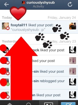Curiouslyshysub:  Omg Omg Guise Foxytail Likes My Tail Pic Im So Excited Gah I Love
