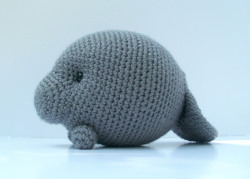 hungrylikethewolfie:   briannacherrygarcia:  bluephone:  Manatees! In the shop! Woo!  I WANT ONE. I WANT ONE SO BAD.  Omigodomigodomigodomigod I taught myself to crochet and never thought of making tiny spherical manatees WHAT IS WRONG WITH ME? 