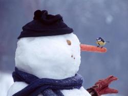 A snowman and his chick